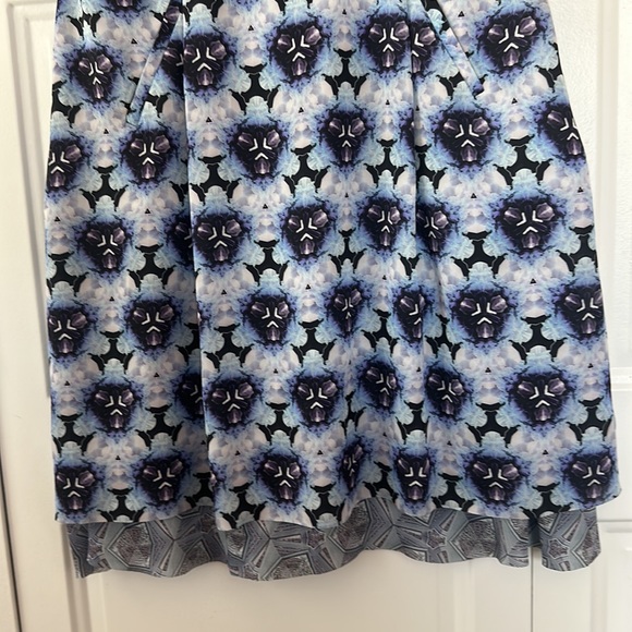 New Acne Studios 10 Floral Dress Blue White Betty Print sleeveless Scoop Neck - Picture 5 of 10